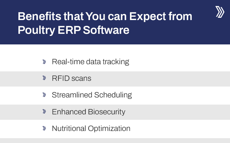 Comprehensive Guide for Leveraging Poultry Farm Software for Business Growth 