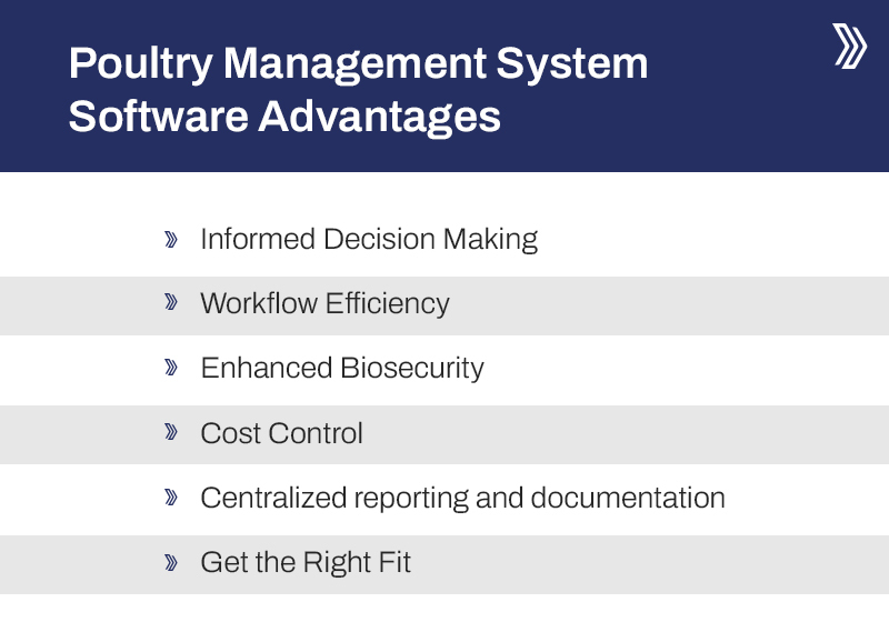 Benefits of Livine poultry management system