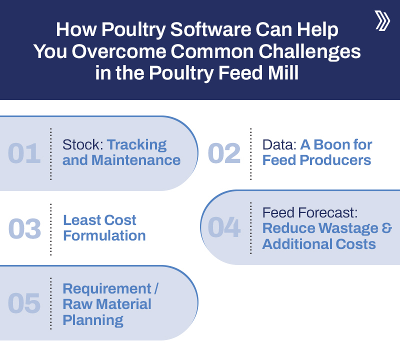 How Poultry Software Can Help You Overcome Common Challenges in the Poultry Feed Mill