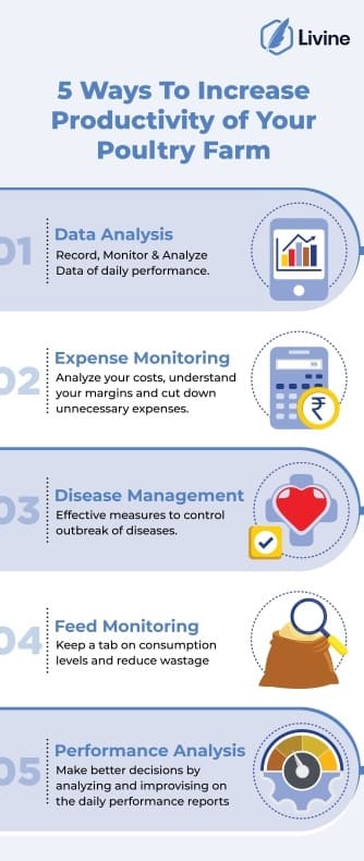 infographic