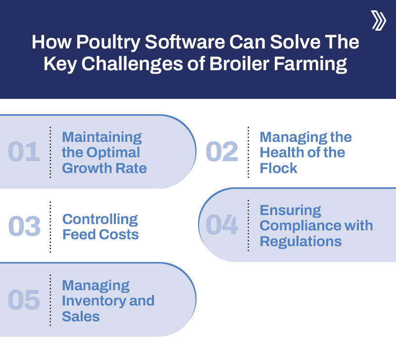 Broiler management software in 2024