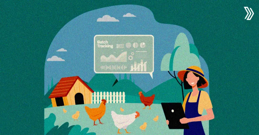 Importance of Batch Tracking in Poultry Management | Livine