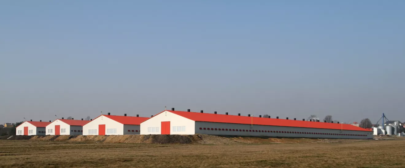 poultry_farm
