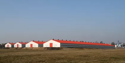 poultry_farm