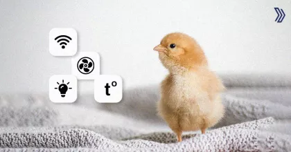 Benefits of Digital Transformation in Poultry 2.jpg