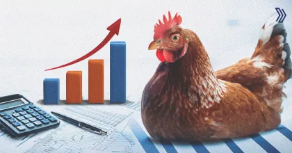 What You Can Do with Livine Poultry ERP Software.jpg