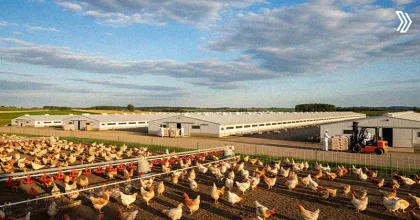 Common Management Practices in Poultry Farming