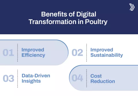 Benefits of Digital Transformation in Poultry.jpg
