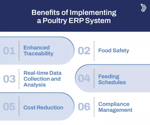 Benefits of Implementing a Poultry ERP System.jpg