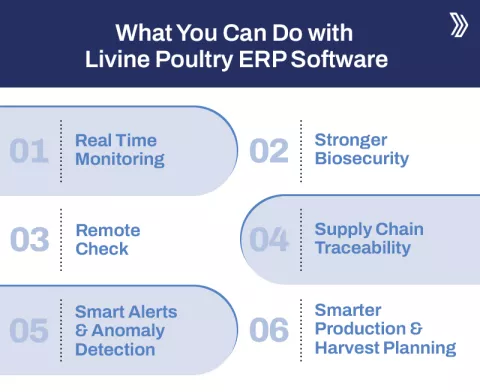 What You Can Do with Livine Poultry ERP Software 