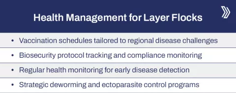 Health Management for Layer Flocks2.jpg