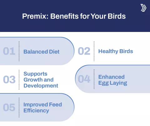 Premix Benefits for Your Birds