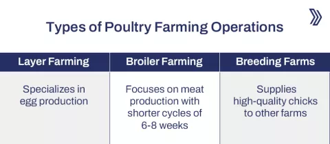 Tips to Improve Poultry Farm Business