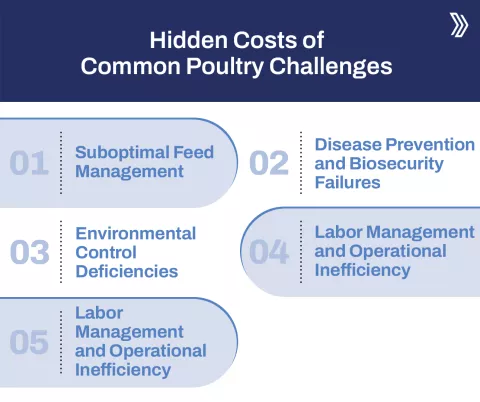 Hidden Costs of Common Poultry Challenges 2.jpg