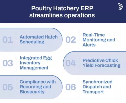 Automating Hatch Schedules with Poultry ERP Systems2.jpg