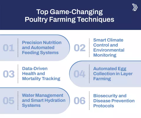 Top Game-Changing Poultry Farming Techniques.jpg