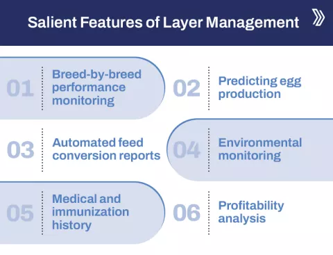 Salient Features of Layer Management2.jpg