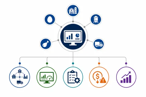 Why Global Poultry Companies Are Investing in ERP Before Expanding