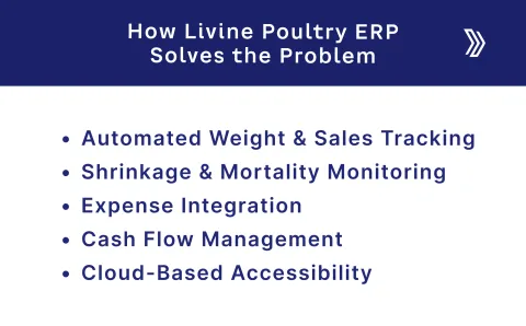 how livine erp solve the problem