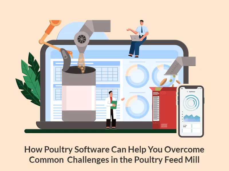 Poultry Software Challenges in Poultry Feed Mill| | Livine