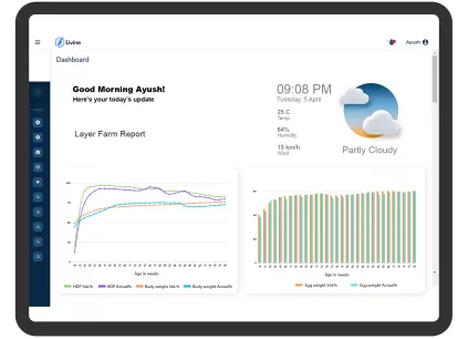 layer_farm_dashboard