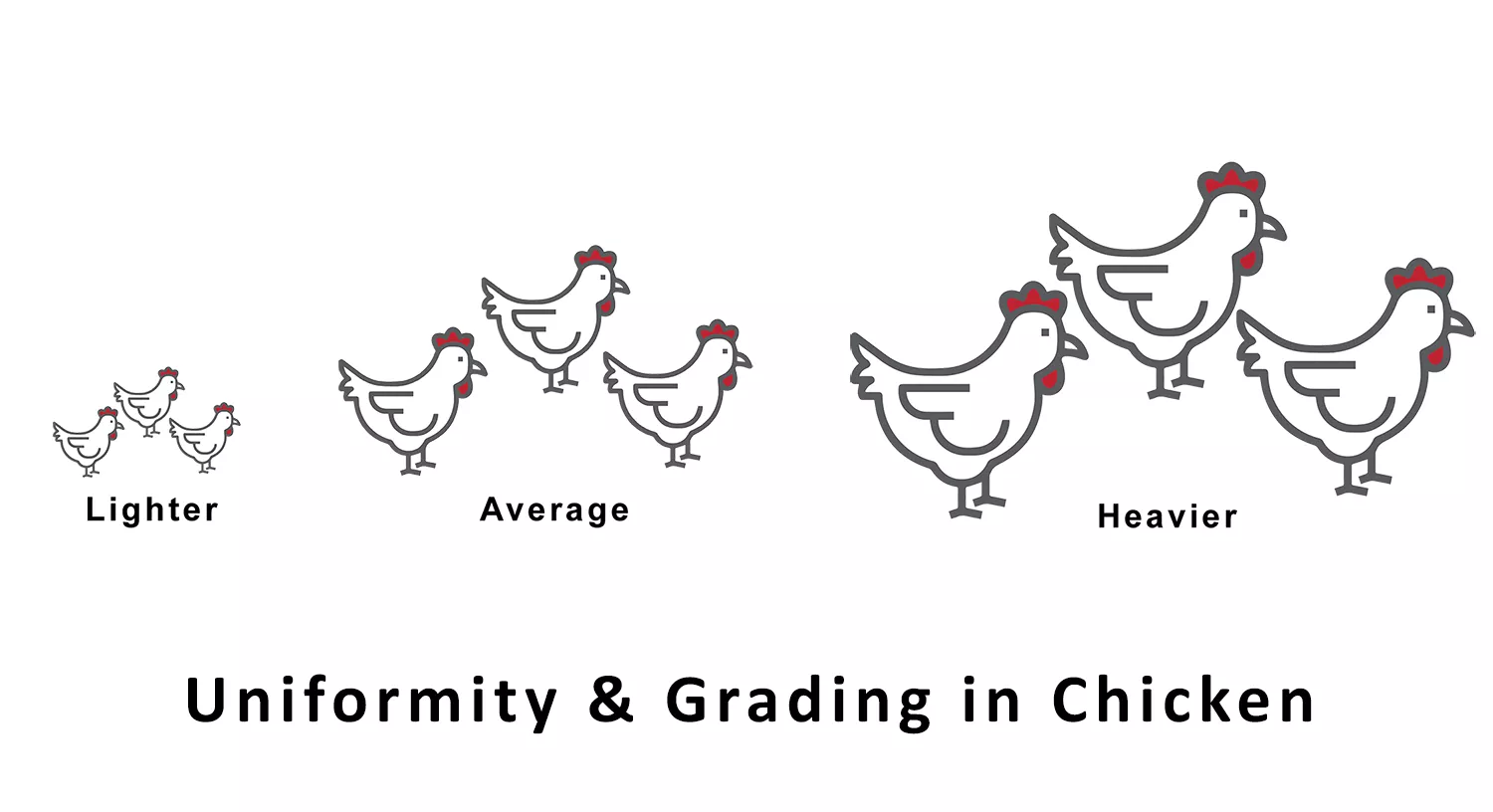 flock_uniformity