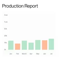 Production report