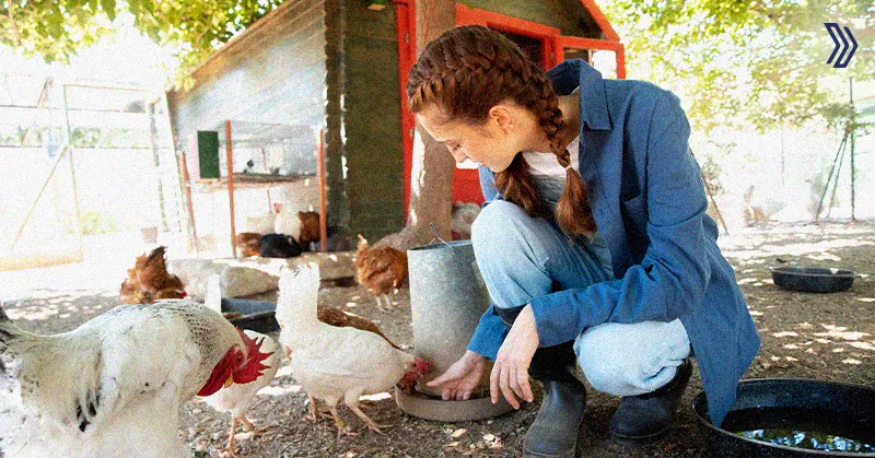 Top Game-Changing Poultry Farming Techniques2.jpg