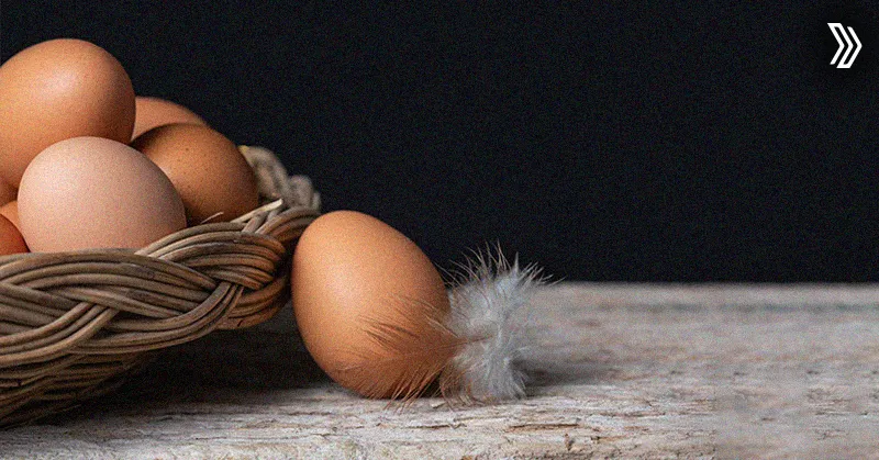 Why Sorting & Grading Eggs Matters for Your Poultry Business.jpg