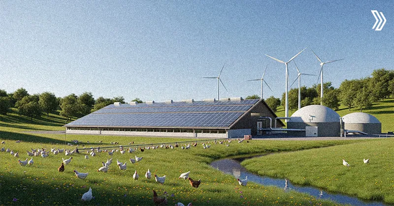 Carbon‑Neutral Poultry Farming 